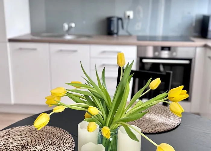 C- Home4U - Apartment With A City View Close To Aquapark, Parking In Secured Area